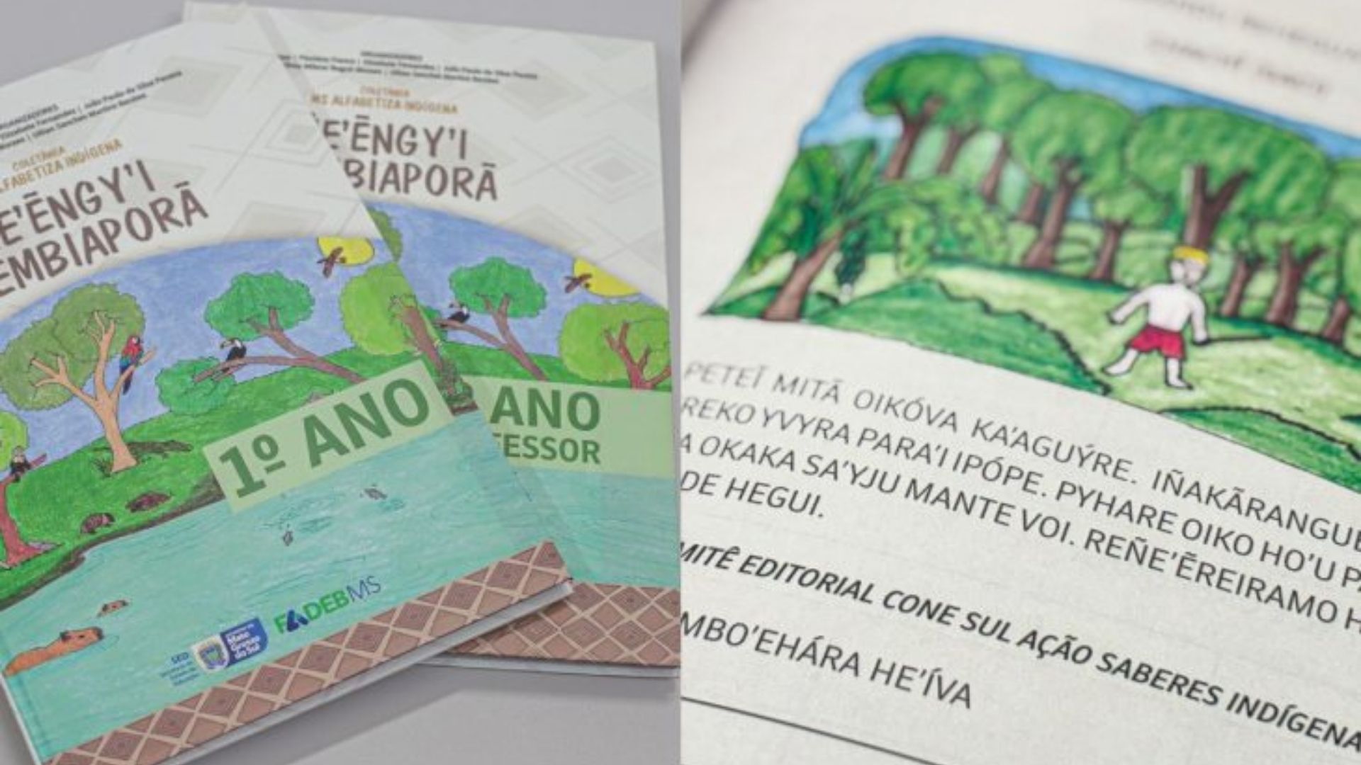 Governo de MS lan&ccedil;a &lsquo;Colet&acirc;nea MS Alfabetiza Ind&iacute;gena&rsquo; e refor&ccedil;a iniciativas de educa&ccedil;&atilde;o intercultural