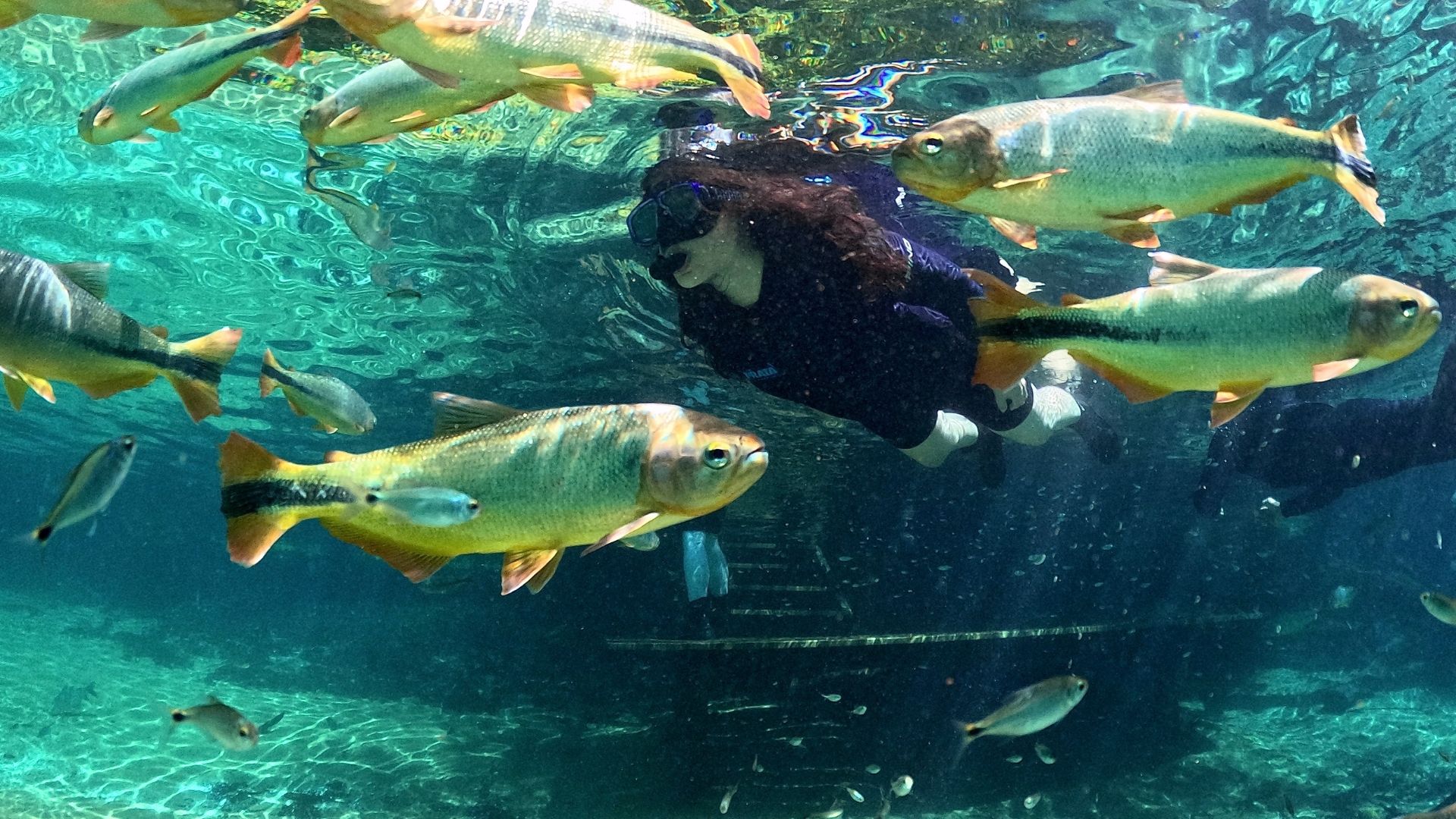 Refer&ecirc;ncia mundial em ecoturismo sustent&aacute;vel, Rio da Prata completa 31 anos de hist&oacute;ria