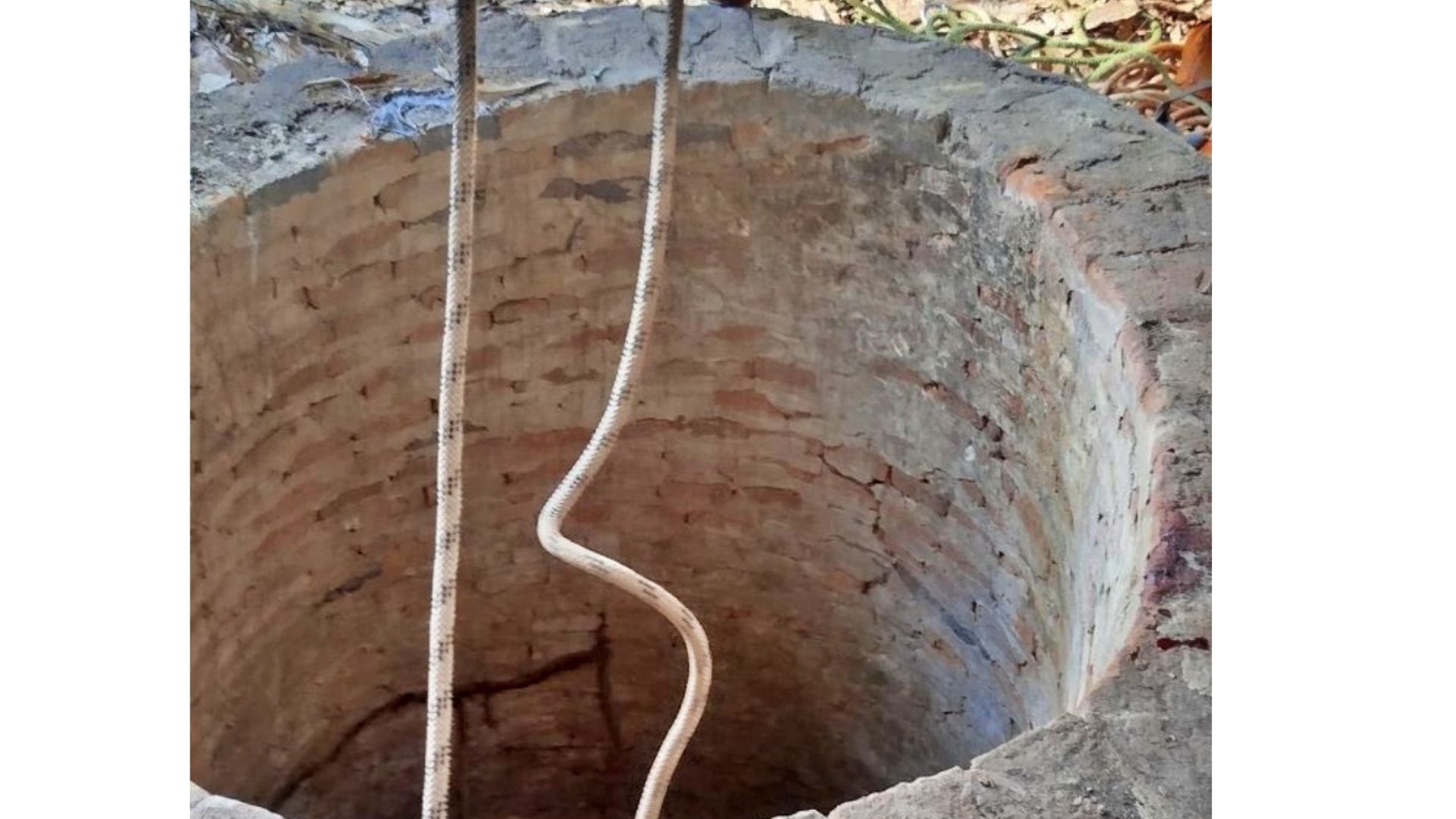 IMAGEM ILUSTRATIVA  /  